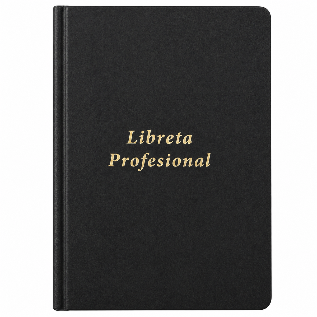 Professional Notebook 10"x 7"