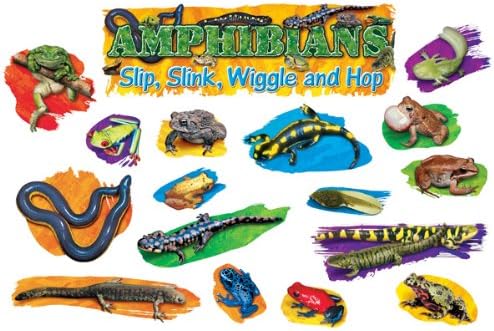 Mini BBS Amphibians
