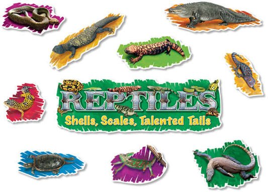 Mini BBS Reptiles