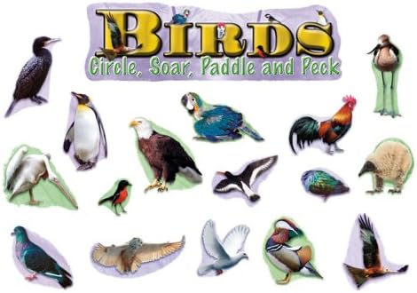 Mini BBS Birds