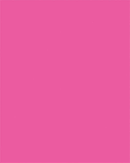 Plastic Poster Board Pink
