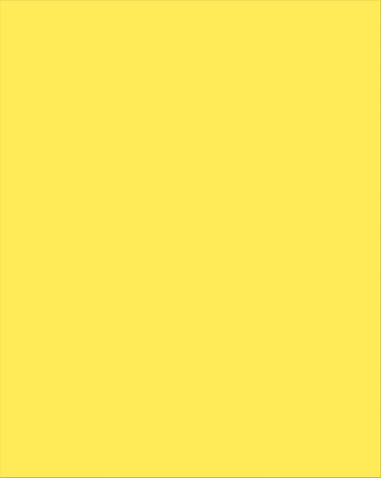 Plastic Poster Board Yellow