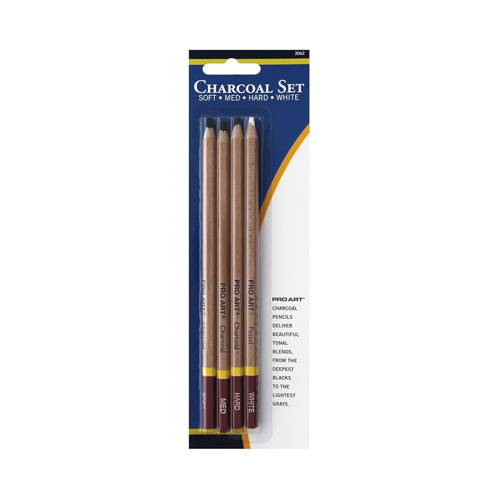 Charcoal Pencil Drawing Set