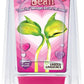 Growing Plant Bean "ILoveYou"