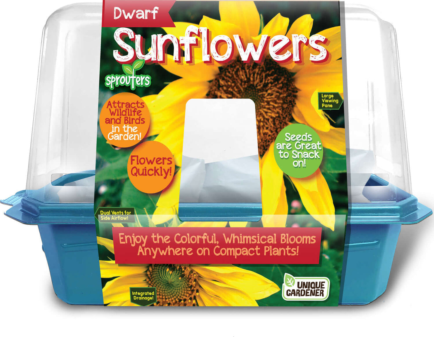 Growing Plant Sunflowers