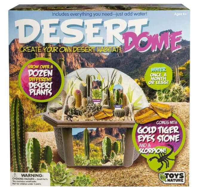 Growing Plant Desert Dome