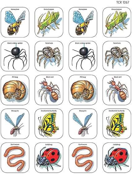 Stickers Creepy Crawlies [pk-120]