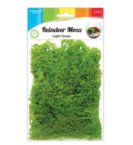 Moss Artificial [Musgo]