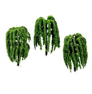 Mini Willow Tree 6cm [pk-3]