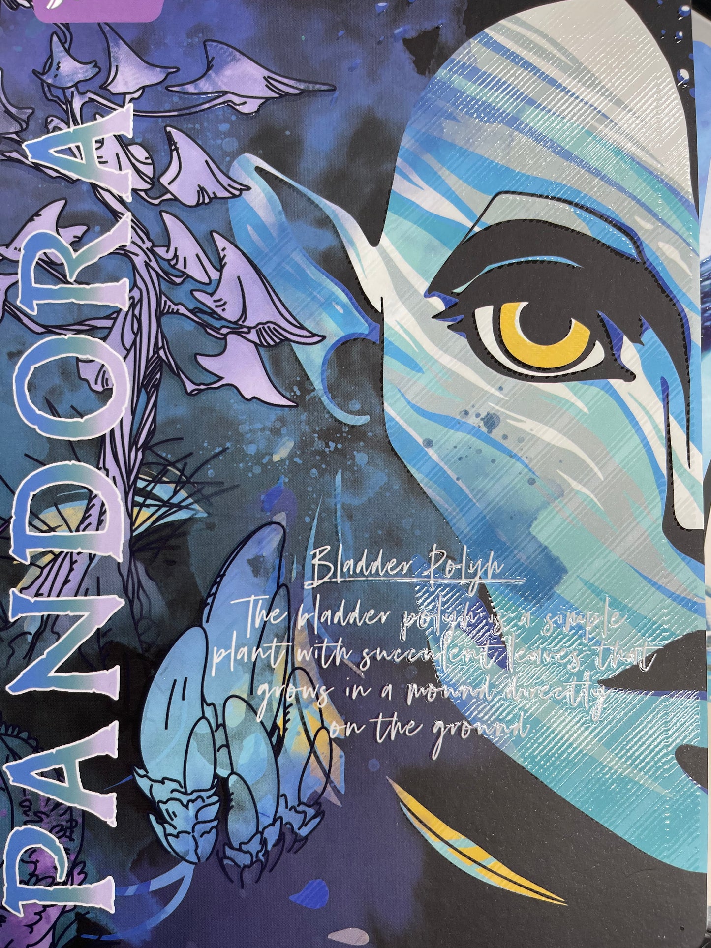 Notebook Lrg Reg. Avatar
