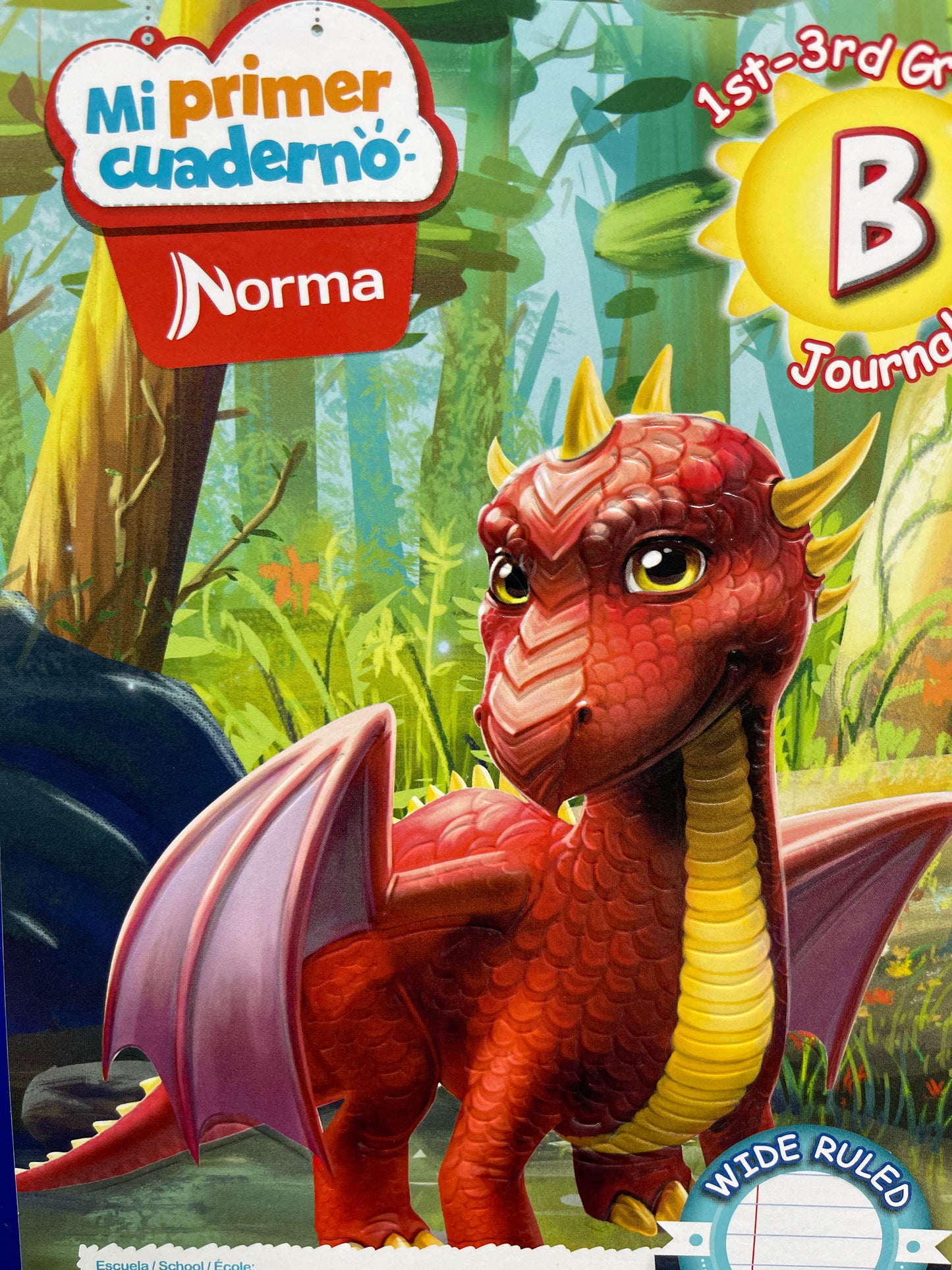 Notebook Primary Journal B
