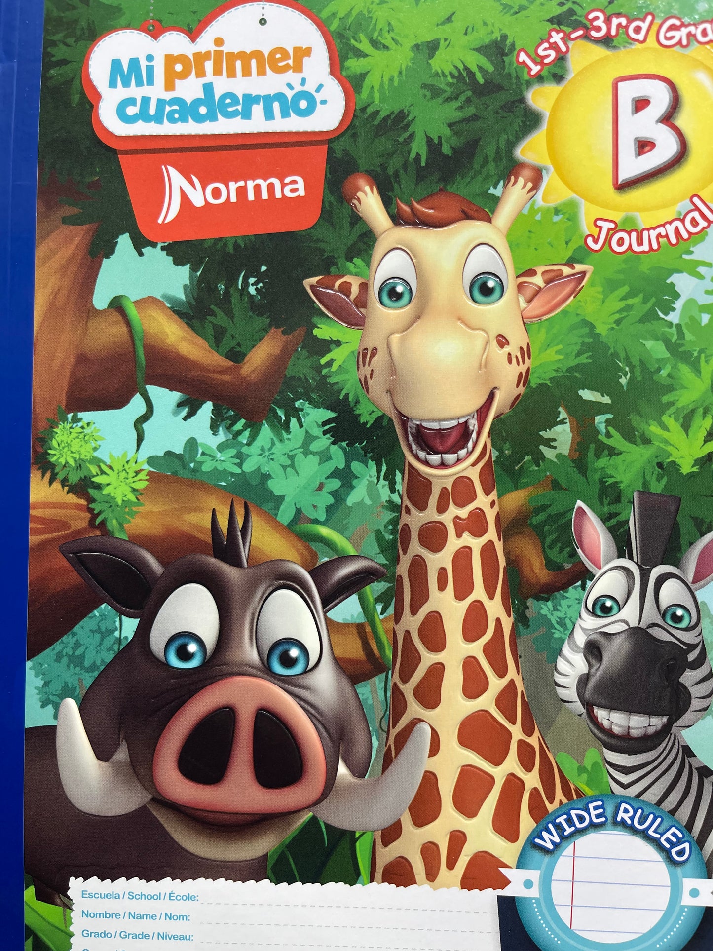 Notebook Primary Journal B
