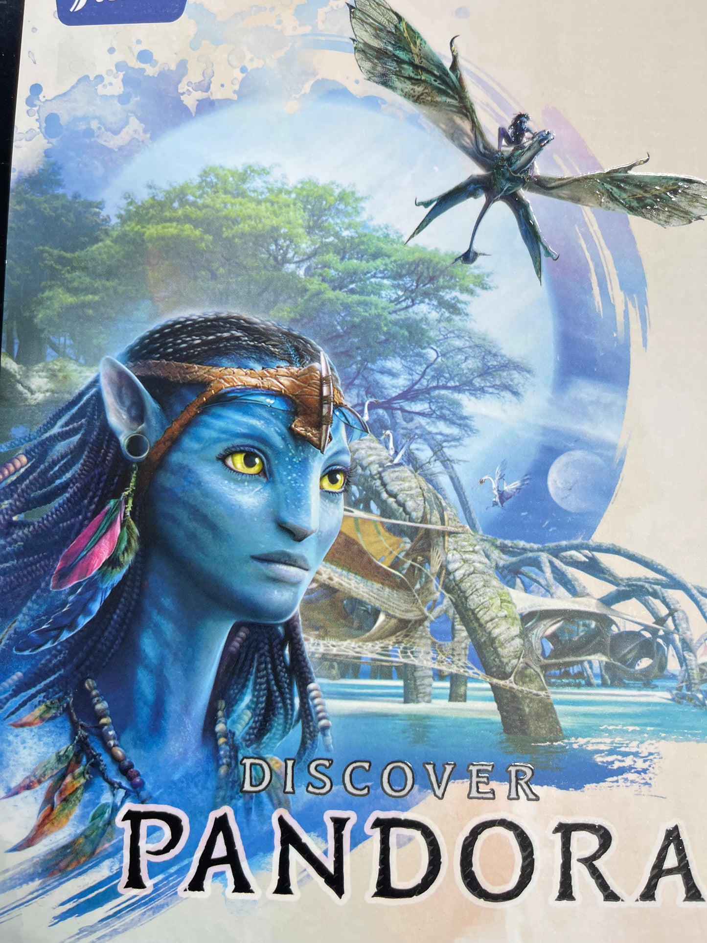 Notebook Lrg Reg. Avatar