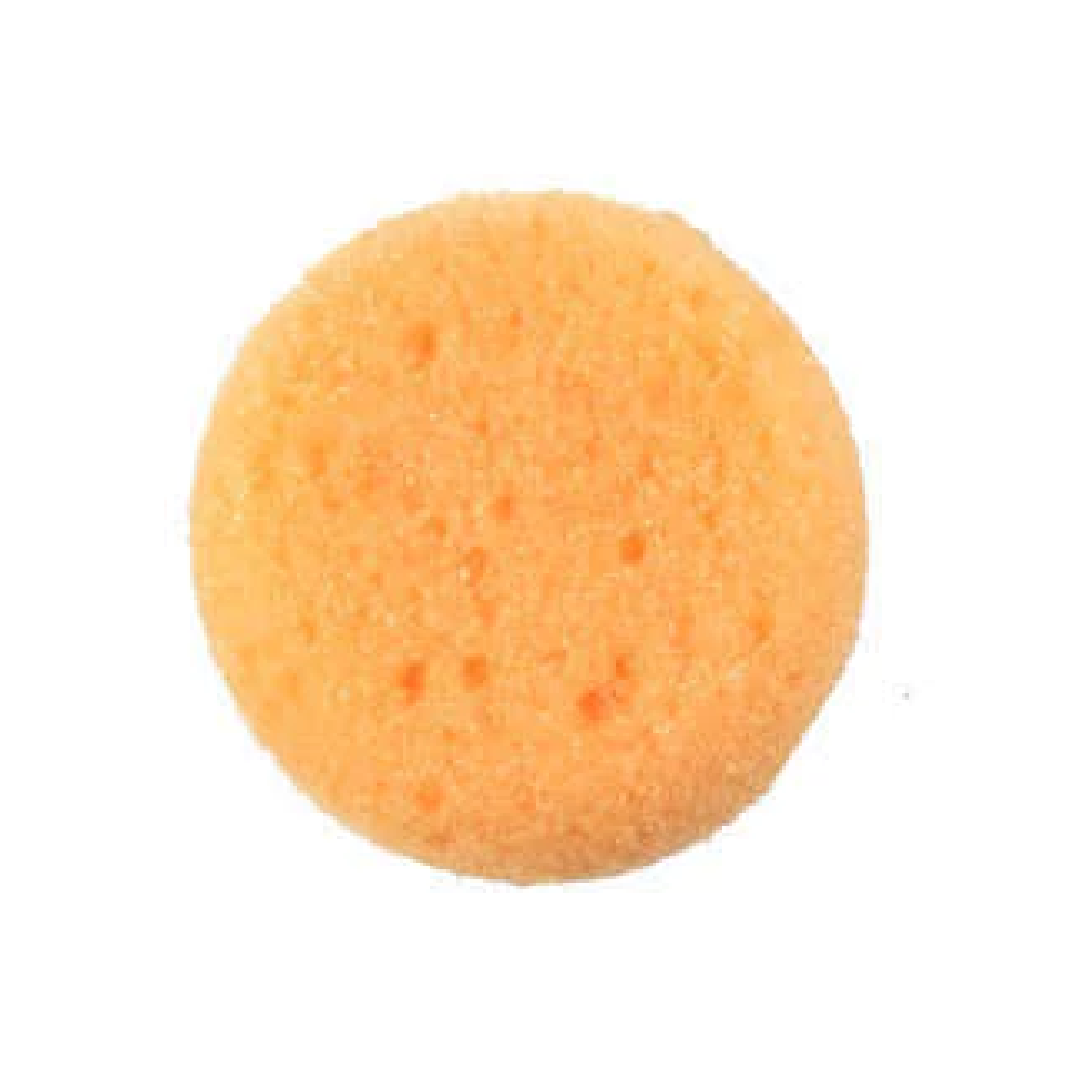Artist Sponge