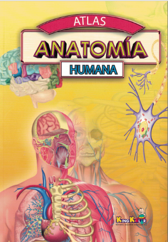 Atlas de Anatomía Humana