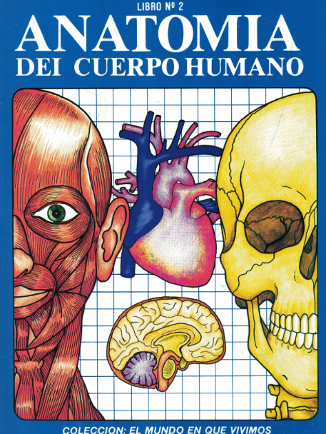 Láminas de Anatomía del cuerpo humano