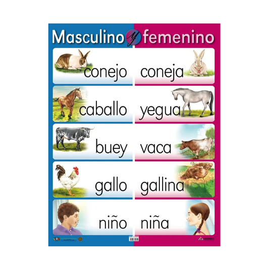 Poster Masculino Y Femenino