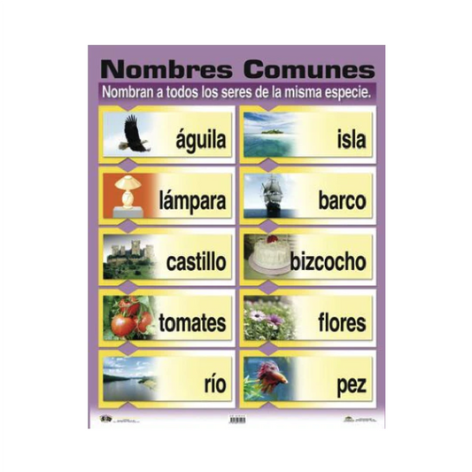 Poster Nombres comunes