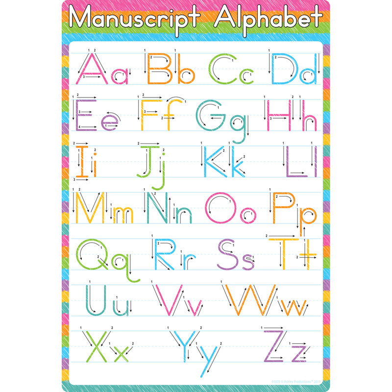 Poly Chart Manuscript 13" x 19"