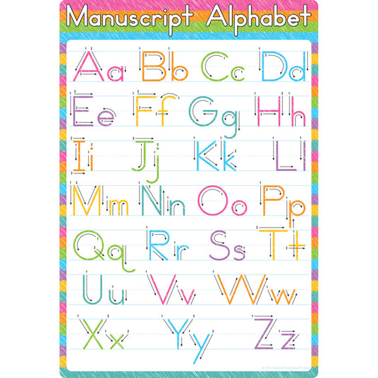 Poly Chart Manuscript 13" x 19"