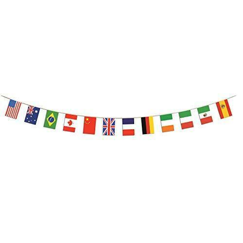 Banner International Flag 12" x 14"