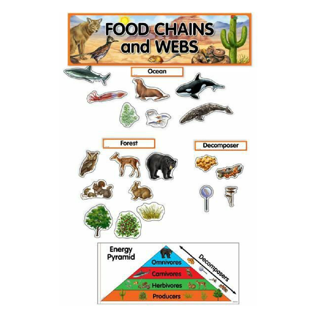 Mini BBS Food Chains & Webs [48 pcs]