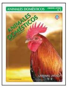 Animales Domésticos