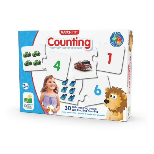 Puzzle Counting