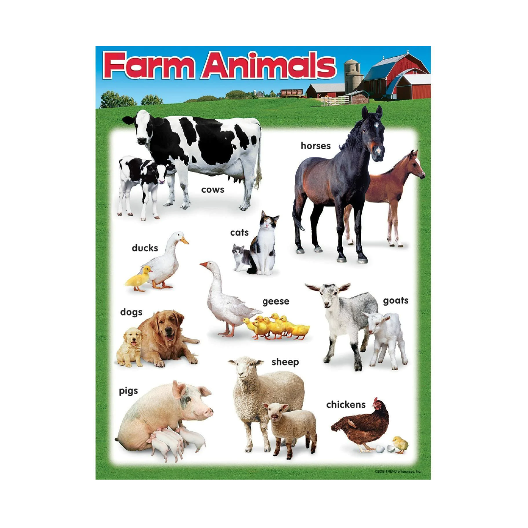 Poster Farm Animals