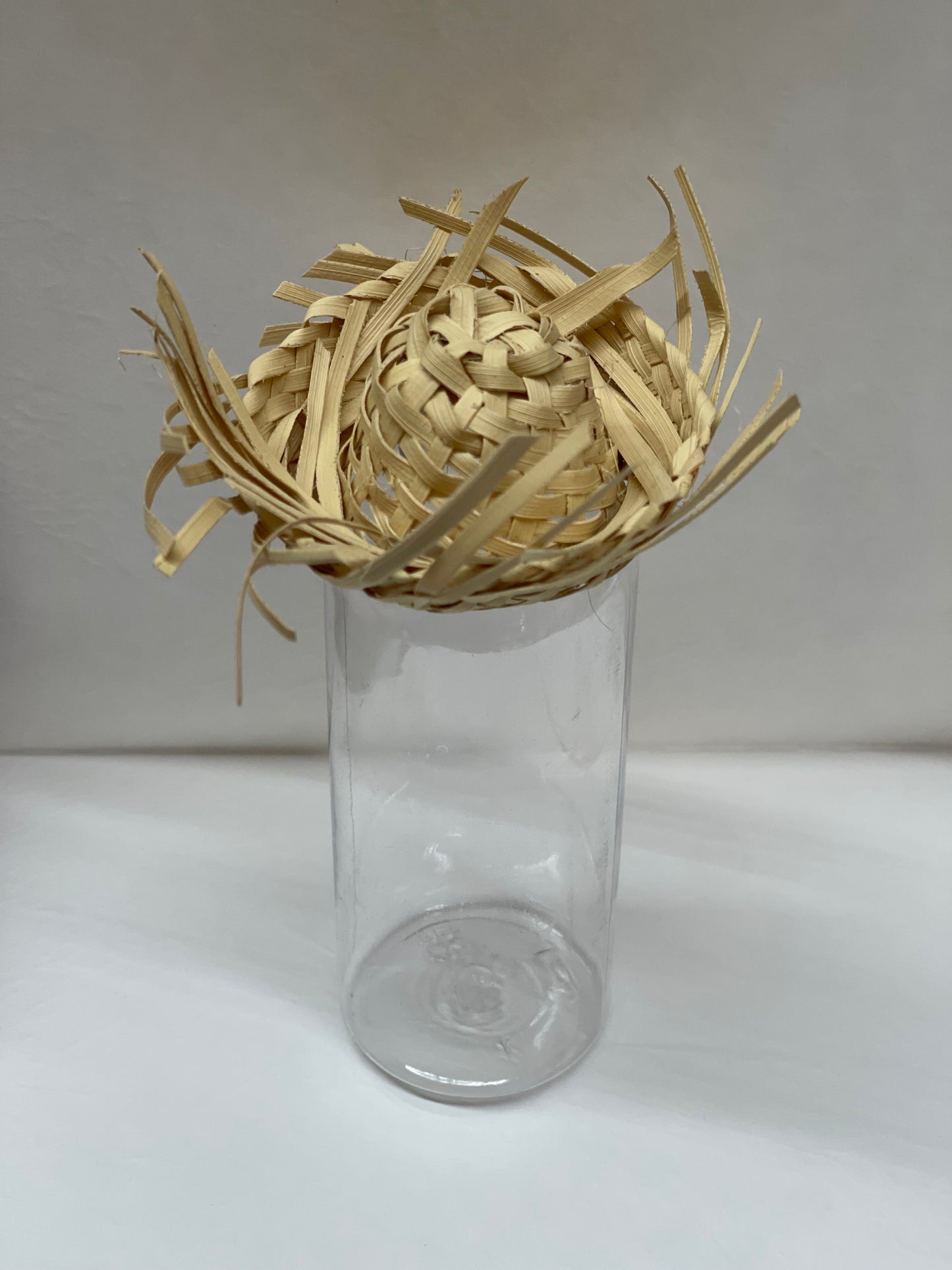 Mini Pavitas Pequeñas